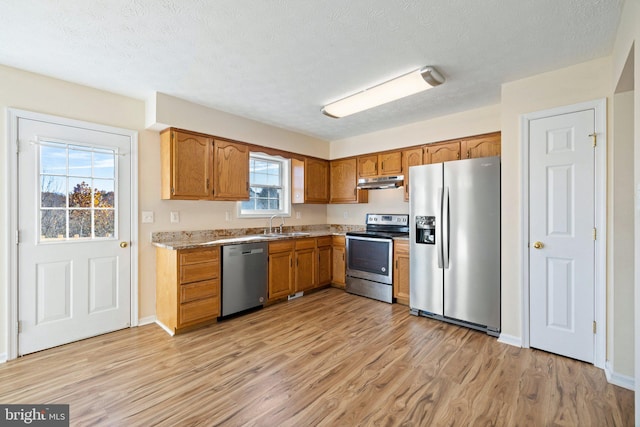 kitchen featuring light wood-type flooring, sink, a healthy amount of sunlight, and stainless steel appliances