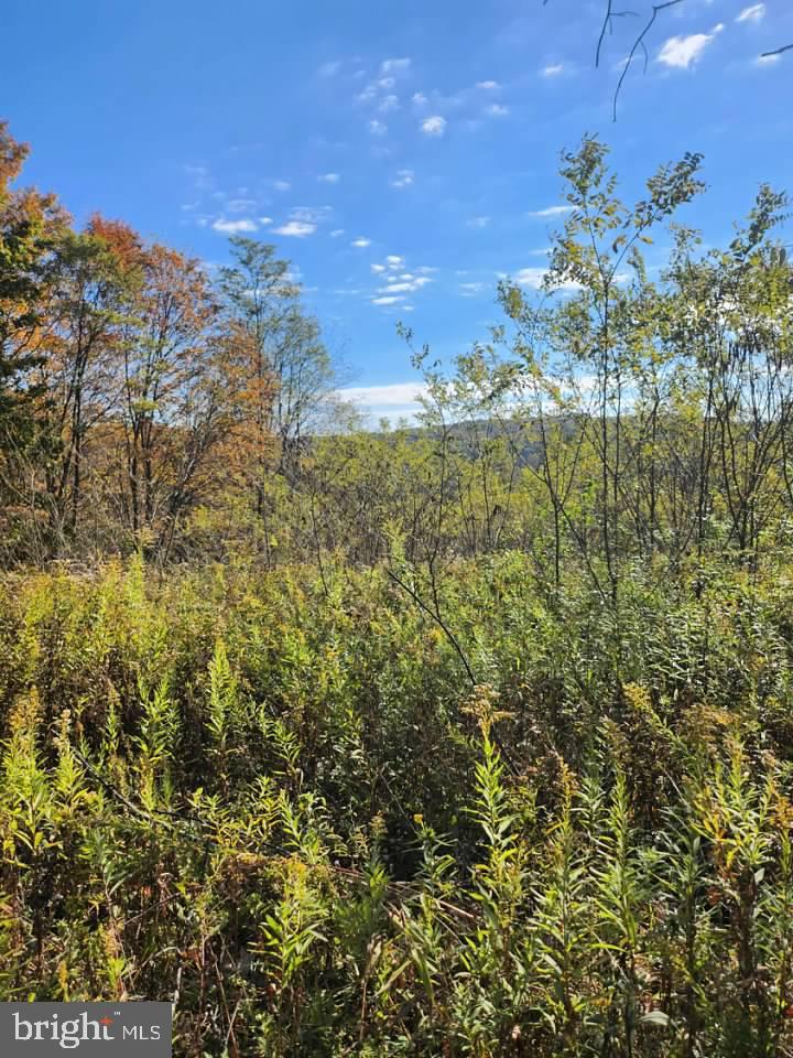 LOTSD2-D5 Natures Symphony Rd, Imler, PA 16655