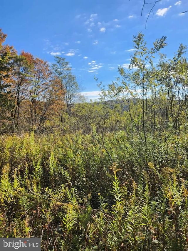 LOTSD2-D5 Natures Symphony Rd, Imler, PA 16655
