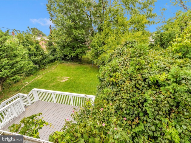 view of yard with a wooden deck