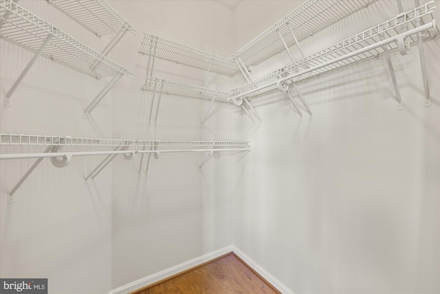 spacious closet featuring hardwood / wood-style flooring