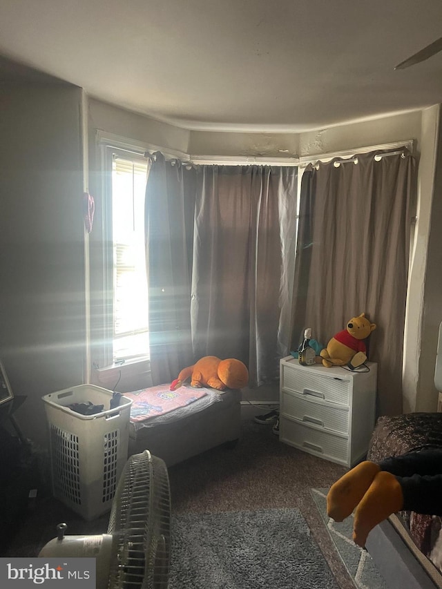 bedroom featuring carpet flooring and multiple windows