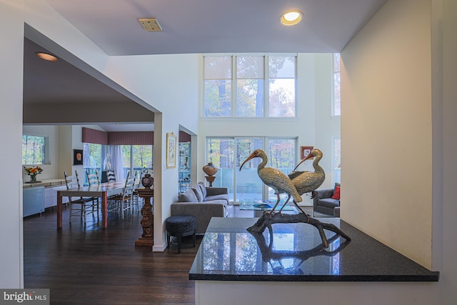 living room with dark hardwood / wood-style floors