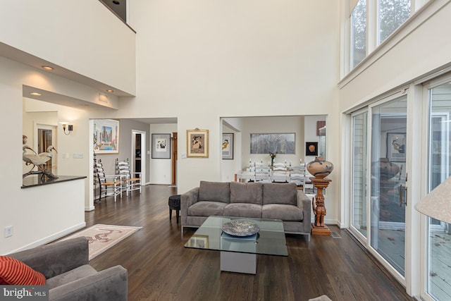 living room with a high ceiling and dark hardwood / wood-style floors