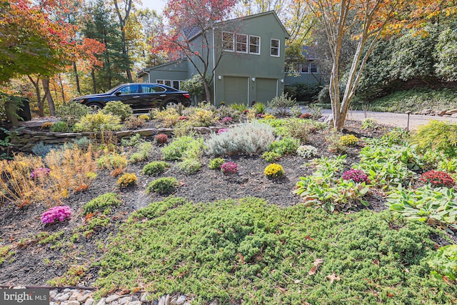 view of yard with a garage