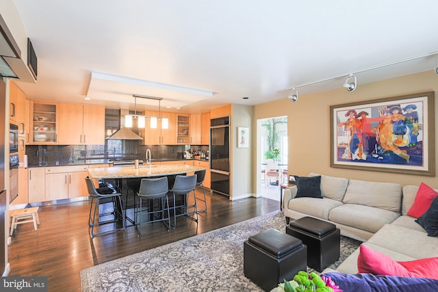 living room featuring sink and dark wood-type flooring