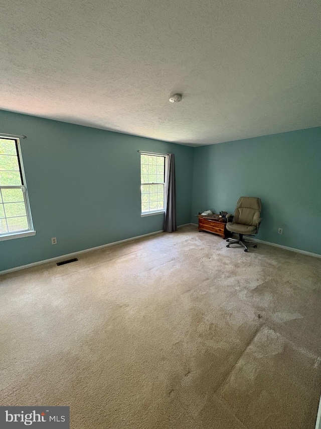 unfurnished room with a textured ceiling and carpet flooring