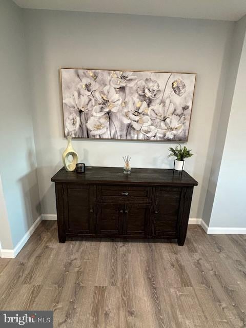 room details featuring hardwood / wood-style floors