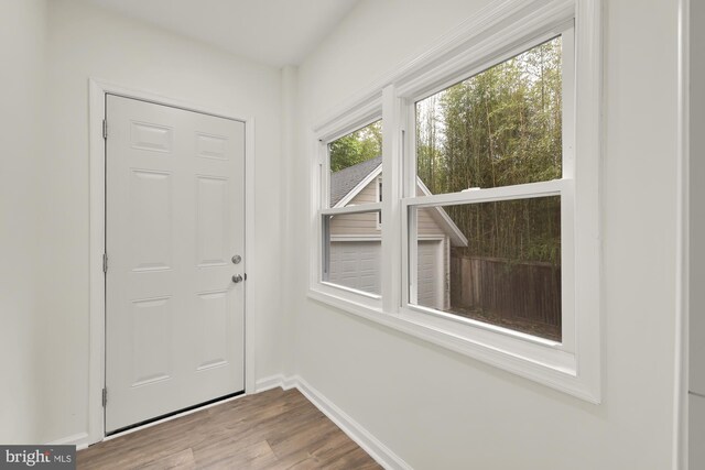 doorway to outside featuring light hardwood / wood-style flooring