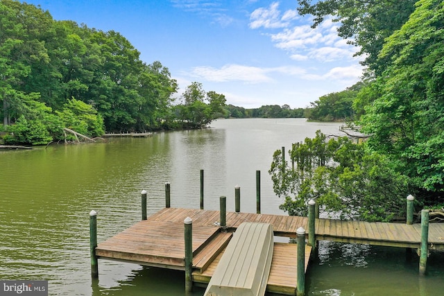 dock area featuring a water view