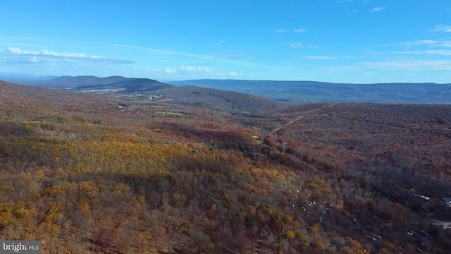 property view of mountains