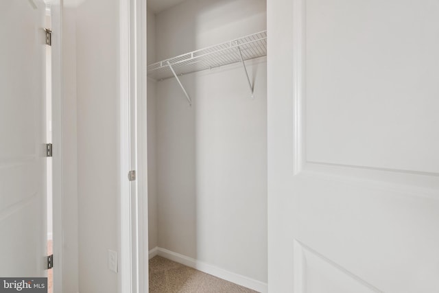 view of closet