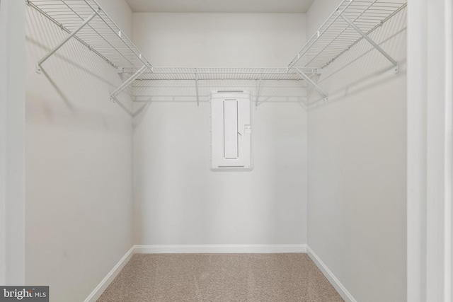 walk in closet with carpet floors and electric panel