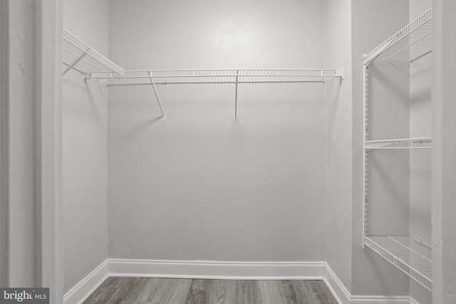 walk in closet with wood-type flooring