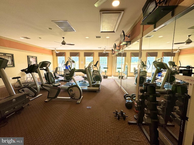 workout area featuring ceiling fan and carpet floors