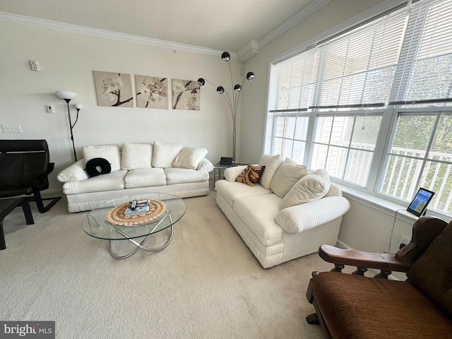 living room featuring carpet floors and ornamental molding