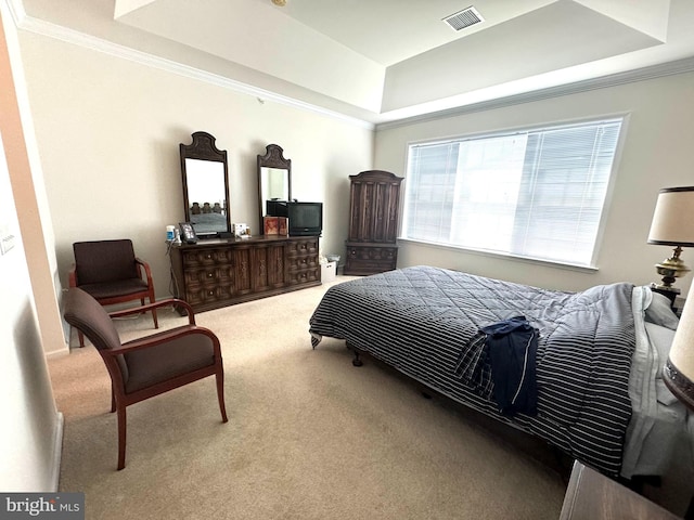 carpeted bedroom with a raised ceiling