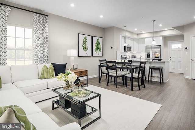 living room with hardwood / wood-style floors