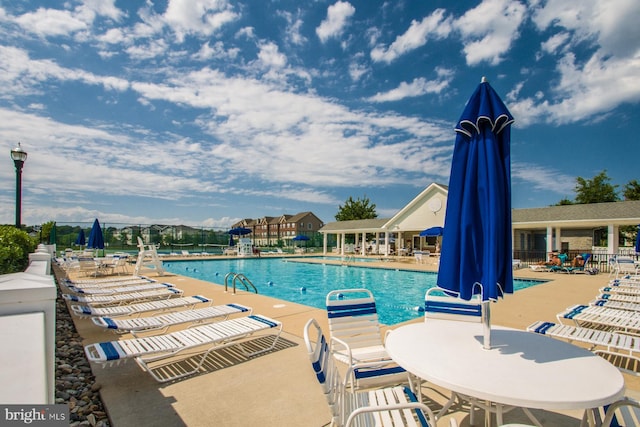 view of pool with a patio area