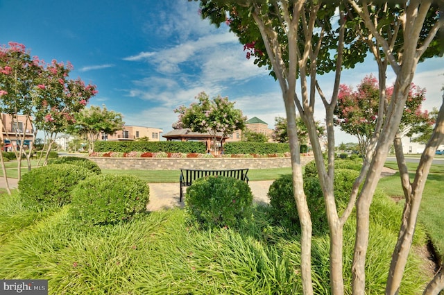 view of yard with a gazebo