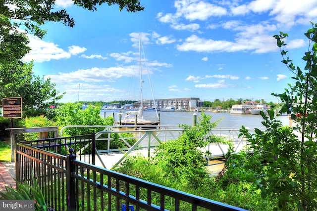 property view of water with a boat dock