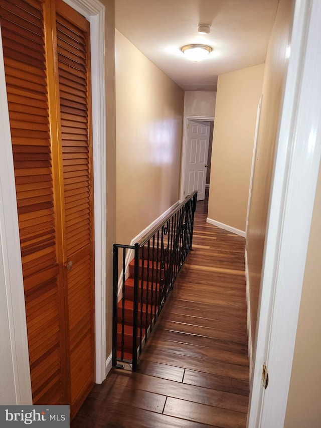 stairs featuring hardwood / wood-style floors