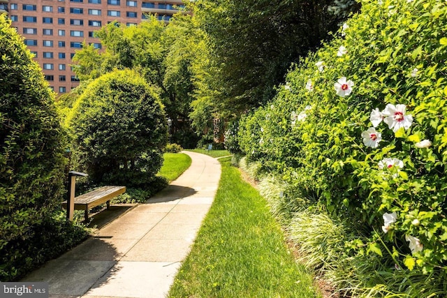 4201 Cathedral Ave NW Unit T10E, Washington, DC 20016 - view of community