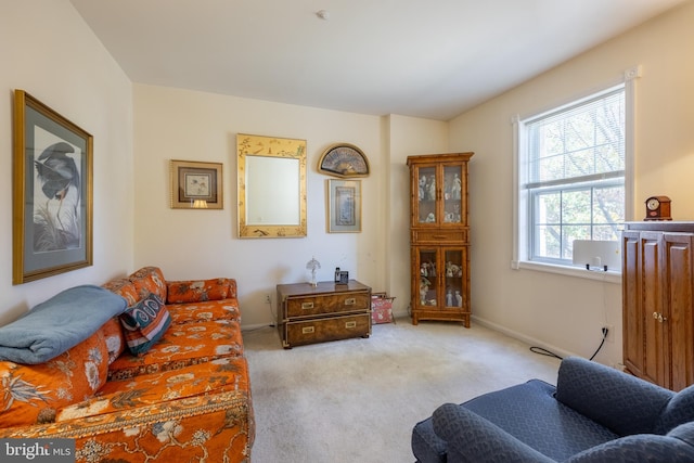 living room featuring light carpet