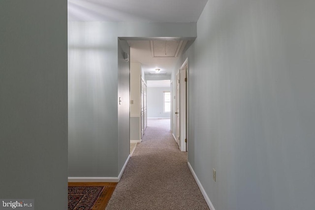 8 Crossgate Dr Unit 8, Seaford, DE 19973 - hall featuring attic access, baseboards, and light colored carpet