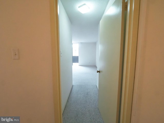 corridor featuring light colored carpet