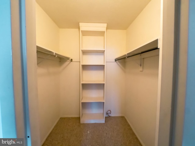 walk in closet featuring dark colored carpet