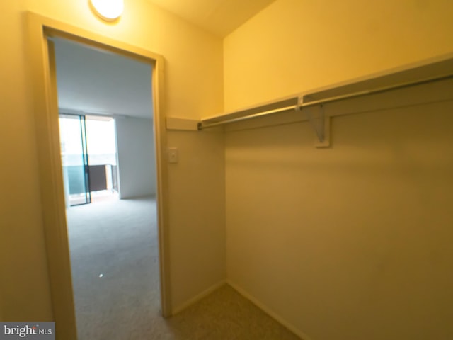 spacious closet with carpet flooring