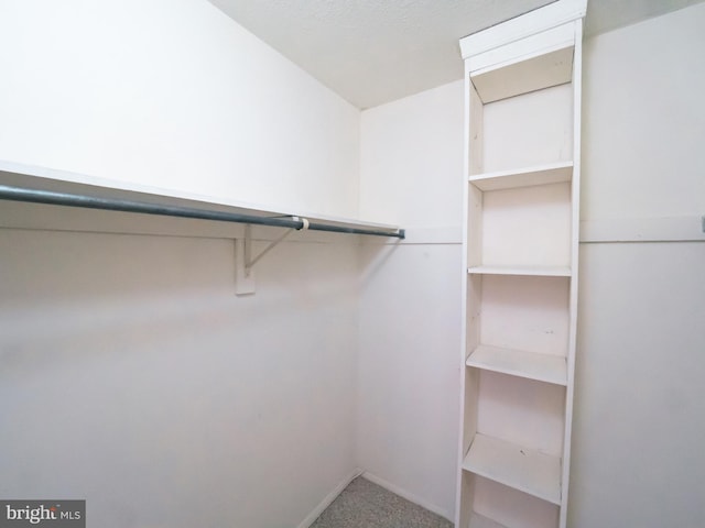 walk in closet featuring carpet