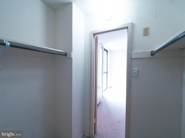 hallway featuring carpet floors