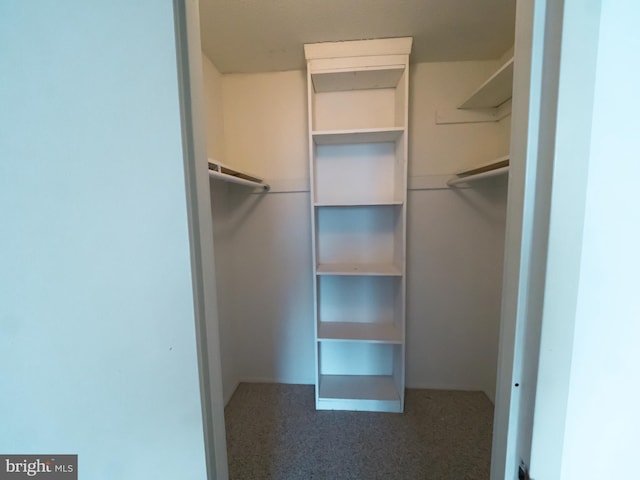 view of walk in closet