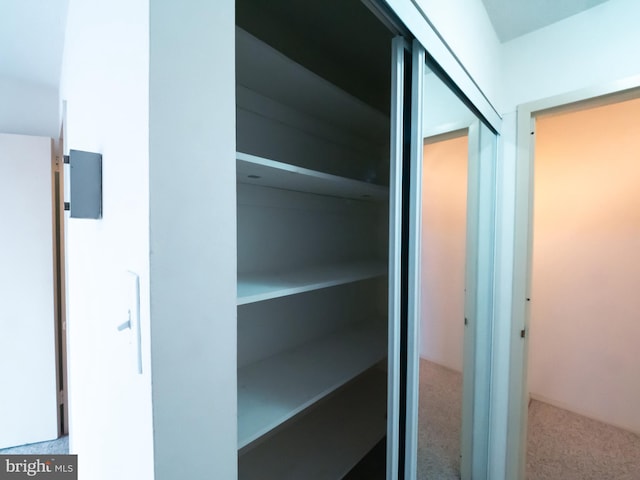 view of closet