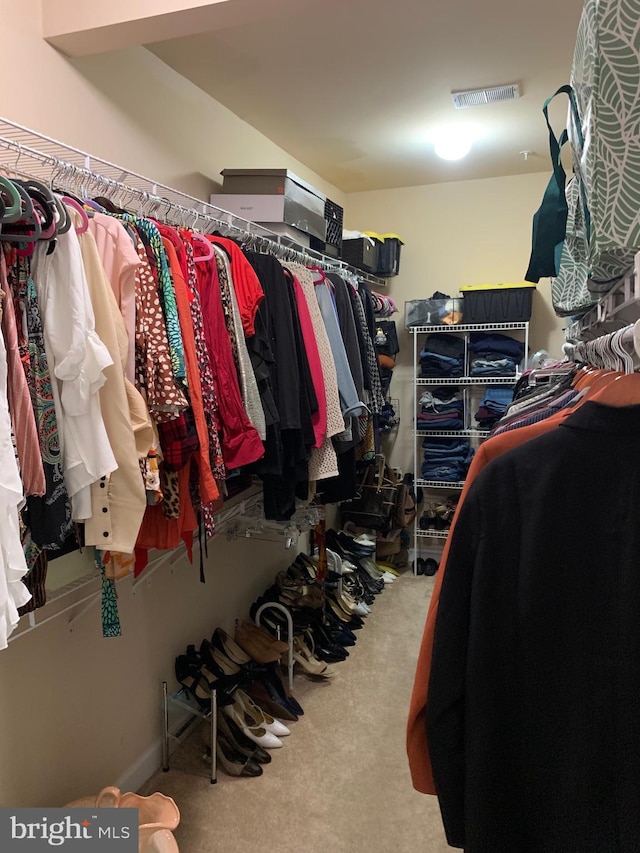 spacious closet with carpet