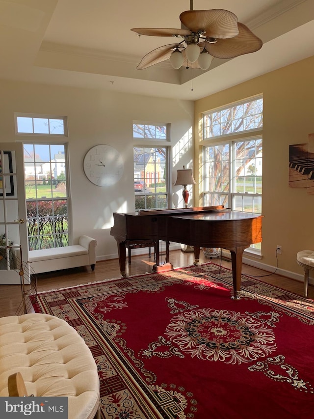 miscellaneous room featuring ceiling fan and a raised ceiling