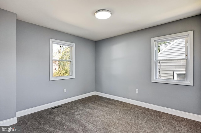 spare room with carpet floors and plenty of natural light