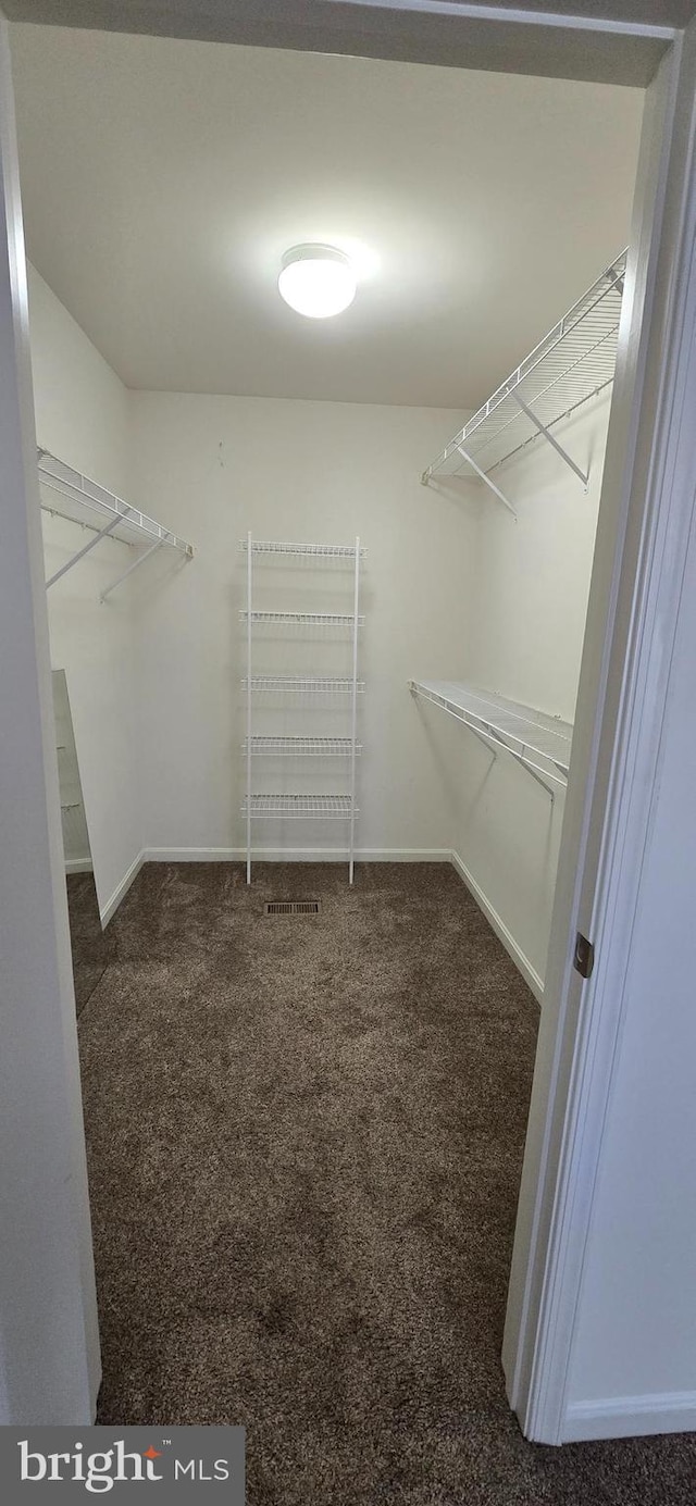 222 Dinwiddie Way, Kearneysville, WV 25430 - spacious closet featuring carpet flooring