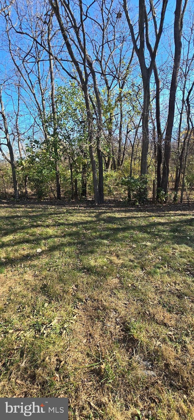 222 Dinwiddie Way, Kearneysville, WV 25430 - view of green lawn