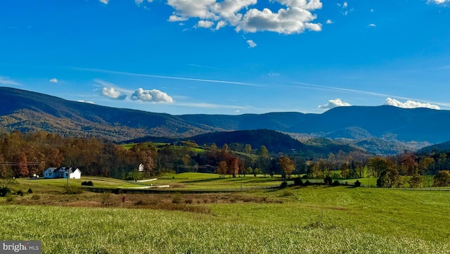 10AC Buck Mountain Rd, Bentonville, VA 22610