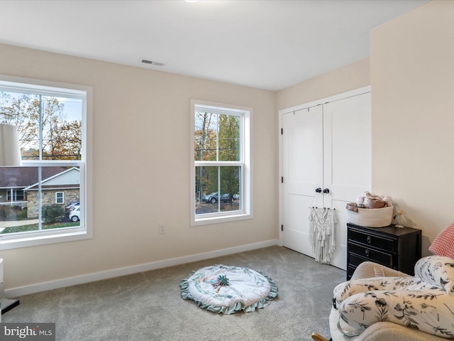 bedroom with a closet and carpet floors