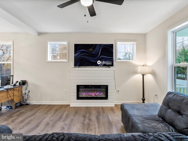 living room featuring light hardwood / wood-style flooring, a fireplace, and plenty of natural light