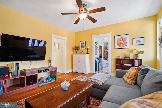 living room with ceiling fan and light hardwood / wood-style flooring