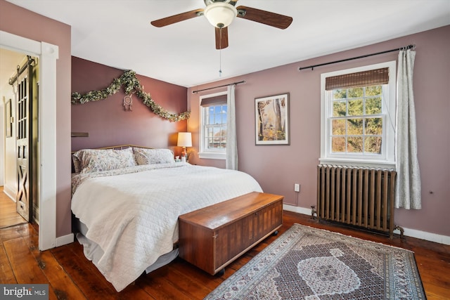 bedroom with multiple windows, radiator heating unit, and dark hardwood / wood-style floors