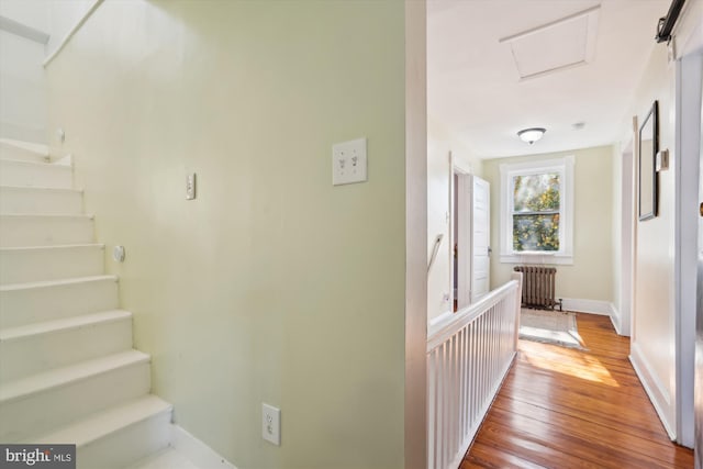 corridor with light hardwood / wood-style floors and radiator