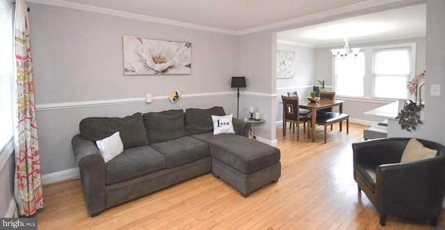 living room featuring crown molding, a notable chandelier, and light wood-type flooring