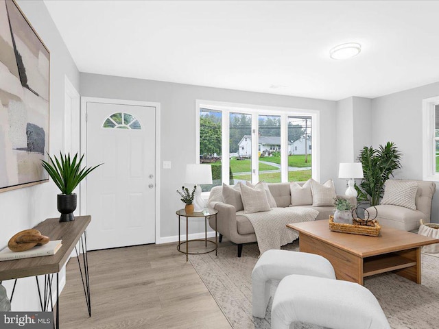 living room with light hardwood / wood-style floors