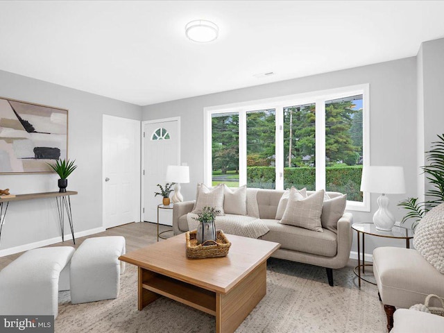 living room with light hardwood / wood-style floors and a healthy amount of sunlight